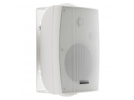 Enceinte HiFi 100 V 70 V 
Sobre, compacte et performante