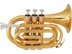 SML Paris TP50 vernie