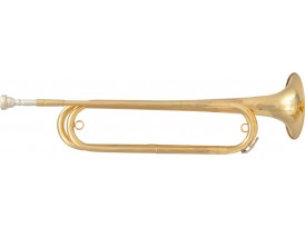 Sml PARIS FTPC61 Mib