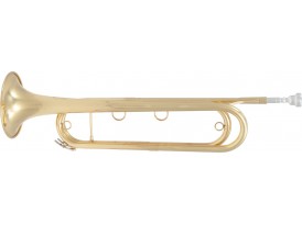 Sml PARIS FTPC91-L Mib