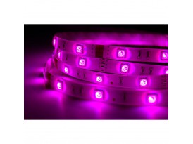 Contest COLORTAPE3065