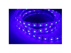 Contest COLORTAPE6067