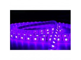 Contest COLORTAPE6067