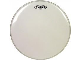 Evans - TT16G2 Timbre Transparente