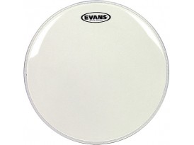 Evans - TT10GR Timbre - 10"