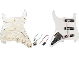 EMG plaque/micros David Gilmour