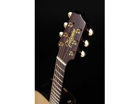 Takamine P5DC