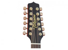 Takamine P3DC12