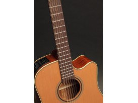 Takamine P3DC12