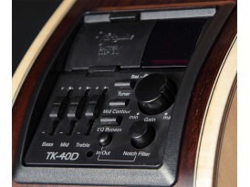 Takamine GY93ENAT New Yorker