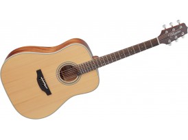 Takamine GD20NS
