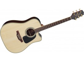 Takamine GD51CENAT