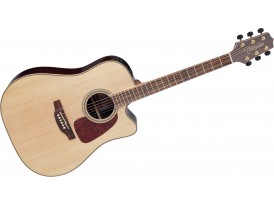 Takamine GD93CENAT