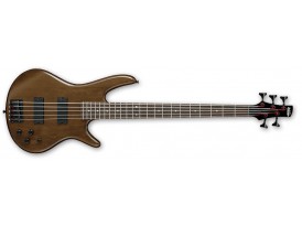 Ibanez GSR205B-WNF - 5 cordes 