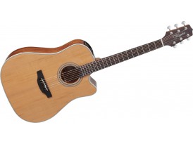Takamine GD20CENS