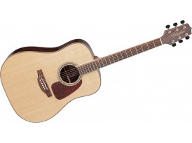Takamine GD93NAT