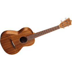 C. F. Martin - T1K Ukulélé