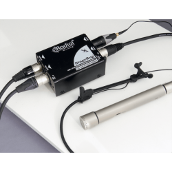 Radial - SB-48-PHANTOM Stagebug