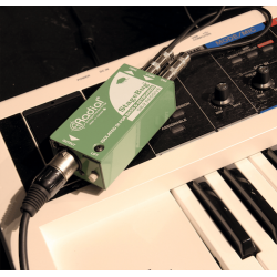 Radial - SB-2-PASSIVE Stagebug