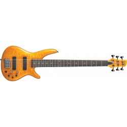 GVB1006-AM - 6 cordes - ambre