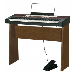 Viscount Cantorum VI