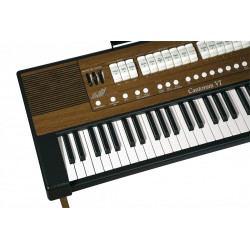 Viscount Cantorum VI