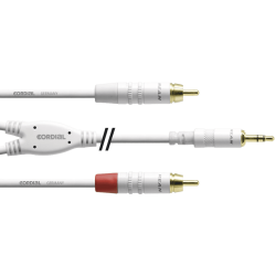 Cordial - CFY3WCC-SNOW