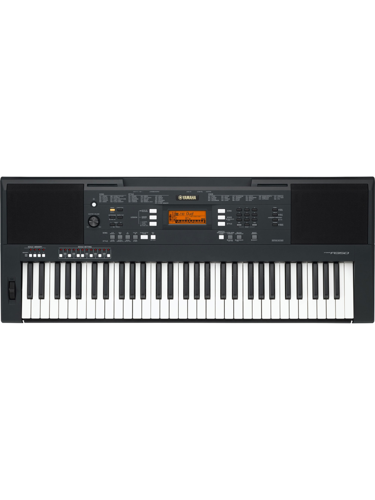 ION Audio PIANO APPRENTICE Clavier lumineux 25 notes pour iPad, iPod et  iPhone : : Électronique