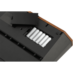 Korg - MONOLOGUE-BK noir