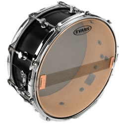 Evans S13H30 Reso 13" Hazy