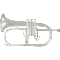 SML Paris - BU600S Silver