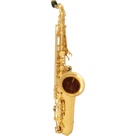 Saxophone de poche portable Saxophone de poche Mini avec sac de rangement  Reed