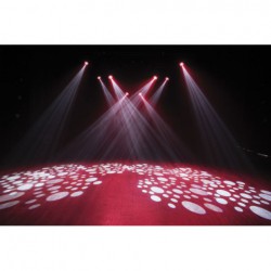 Showtec Shark Combi Spot One