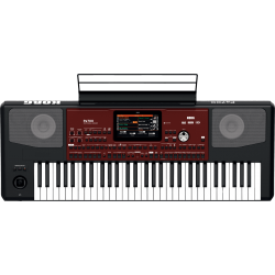 Korg - PA700 61 notes amplifié