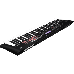 Korg - KROSS2-61-MB