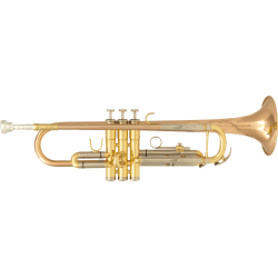 Trompette Sml Paris TP600