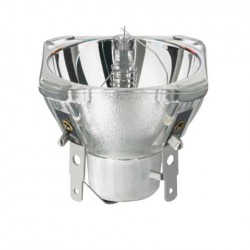 Lampe Phimips MSD Platinum 2R