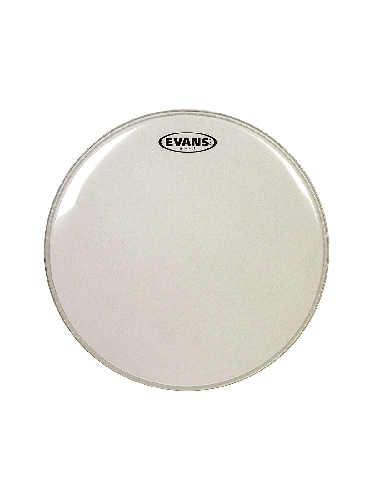 Evans - TT16G1 Frappe ou timbre - Transparente 16"