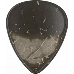 Dugain coquille noix de coco