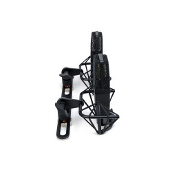 sE Electronics SE4400AST appairé