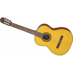 Takamine GC1LH-NAT gaucher