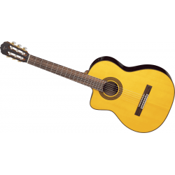 Takamine GC5CELH-NAT gaucher