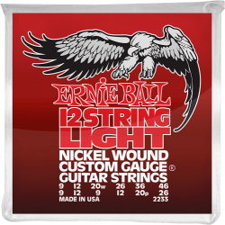 ERNIE BALL - 2233