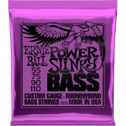 ERNIE BALL - 2831
