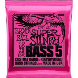ERNIE BALL - 2824