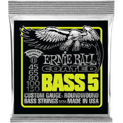 ERNIE BALL - 3836
