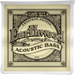 ERNIE BALL - 2070 acoustique