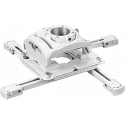 Chief - RPMAU-W blanc