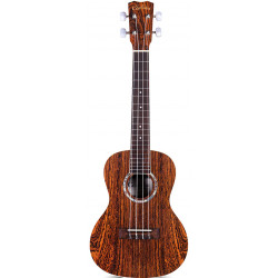 Cordoba 15CB Concert