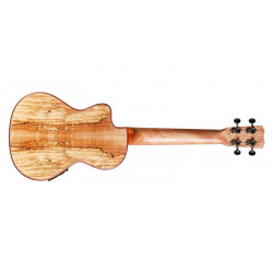 Cordoba 24T-CE Ténor Electro